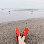 خاک گربه مناسب سال 1601 را چگونه انتخاب کنیم؟